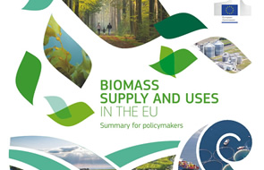 Biomass supply and uses in the EU: new publication by JRC
