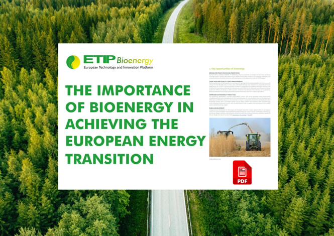 Slider-ETIP_Importance-of-Bioenergy