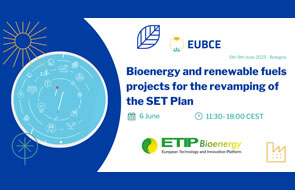 Bioenergy and renewable fuels projects for the revamping of the SET Plan. Event summary
