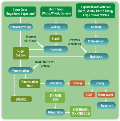 Biochemical routes to liquid biofuels